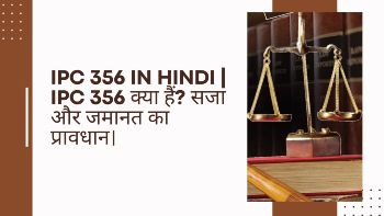 IPC 356 in Hindi